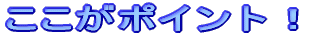 ここがポイント!